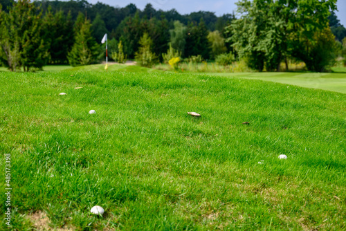 pieczarki w trawie na polu golfowym