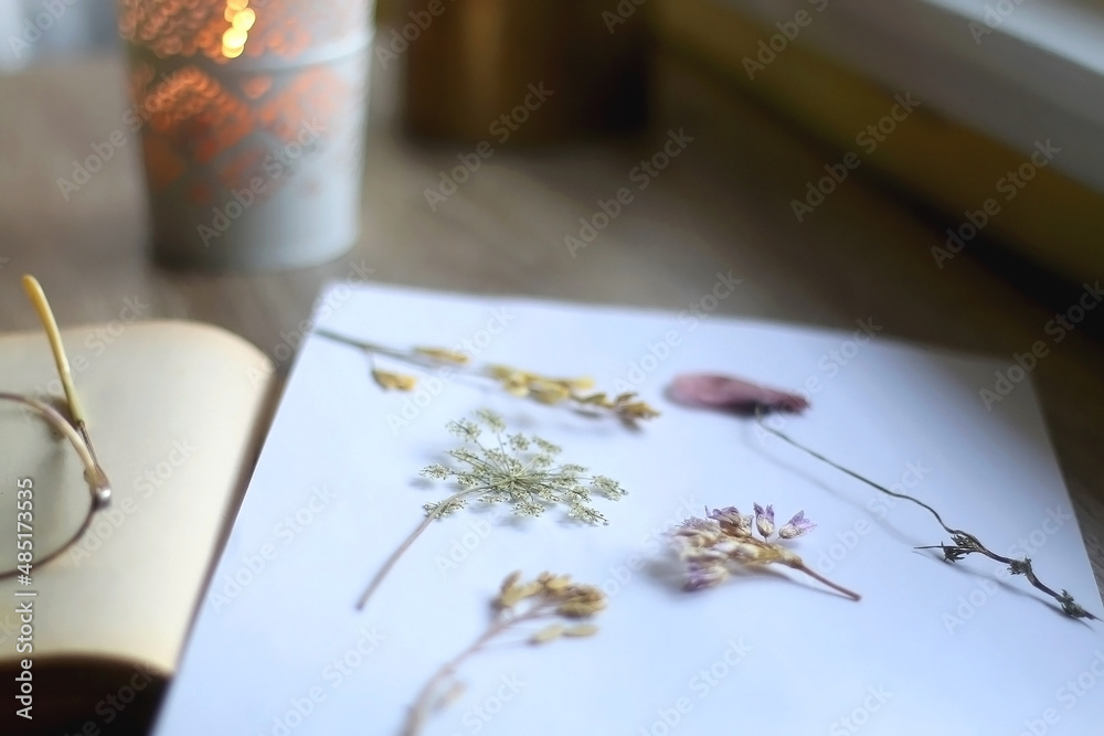 Open book, reading glasses, paper with pressed flowers, bowl of apples and lit candle on the table. Hygge at home. Selective focus.