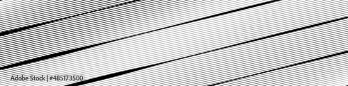 Diagonal, oblique grid, mesh pattern. Lattice, grating, trellis texture. Diagonal plexus, reticulate background