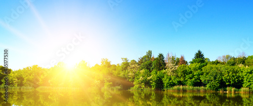 sunrise on the lake  with reeds and trees reflecting in the water. Wide photo.