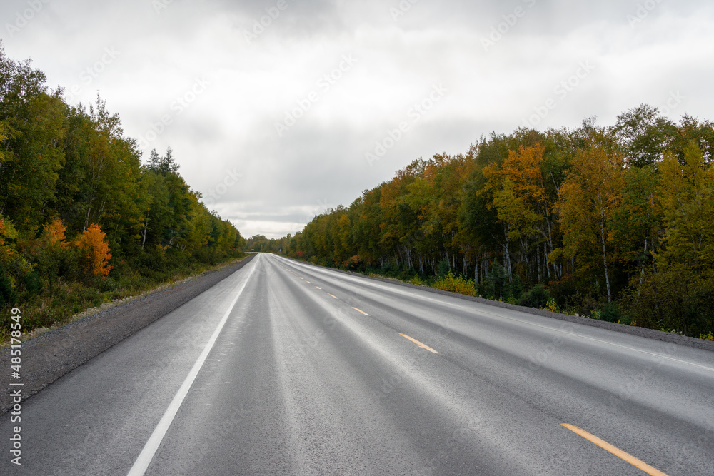 A two lane road of dark wet black asphalt with a broken single yellow line down the middle. There are colorful autumn trees of yellow, orange, and red on both sides.