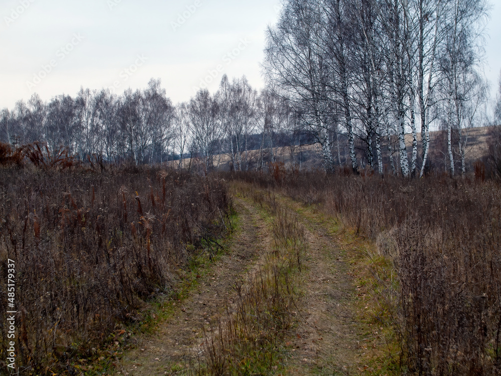 dirt road through the field on a cloudy day dirt road through the field on a cloudy day