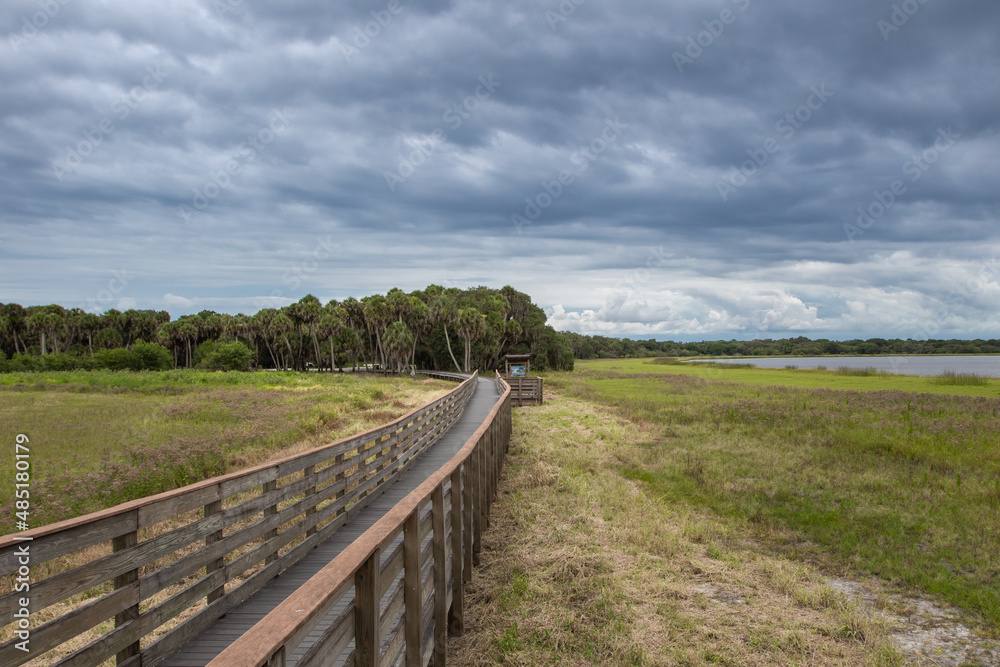 Boardwalk in Myaka River state park in Florida