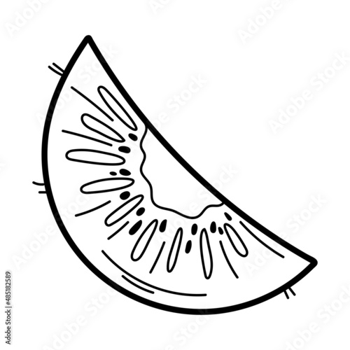 Kiwi hand drawn line icon in doodle style isolated on white background. Design for menu  kitchen  coloring book.
