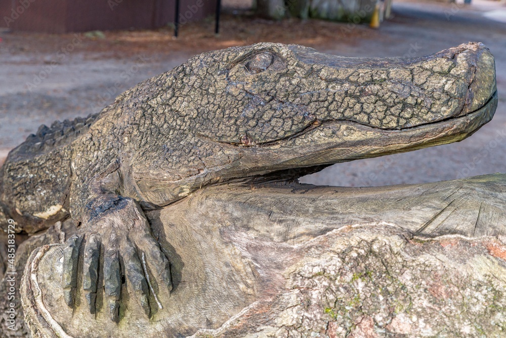 Obraz premium creative