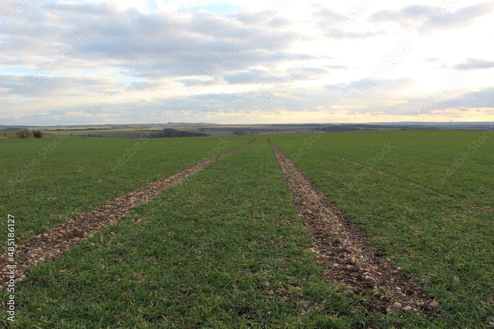 winter field and cloudy sky without snow winter field and cloudy sky without snow