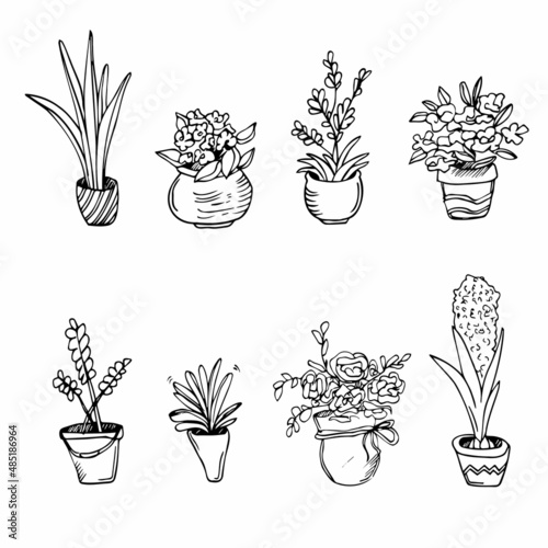 House plant in pot, line doodle set. Exotic linear houseplants flowerpot for interior. Botanical house indoor blooming plants. Isolated vector