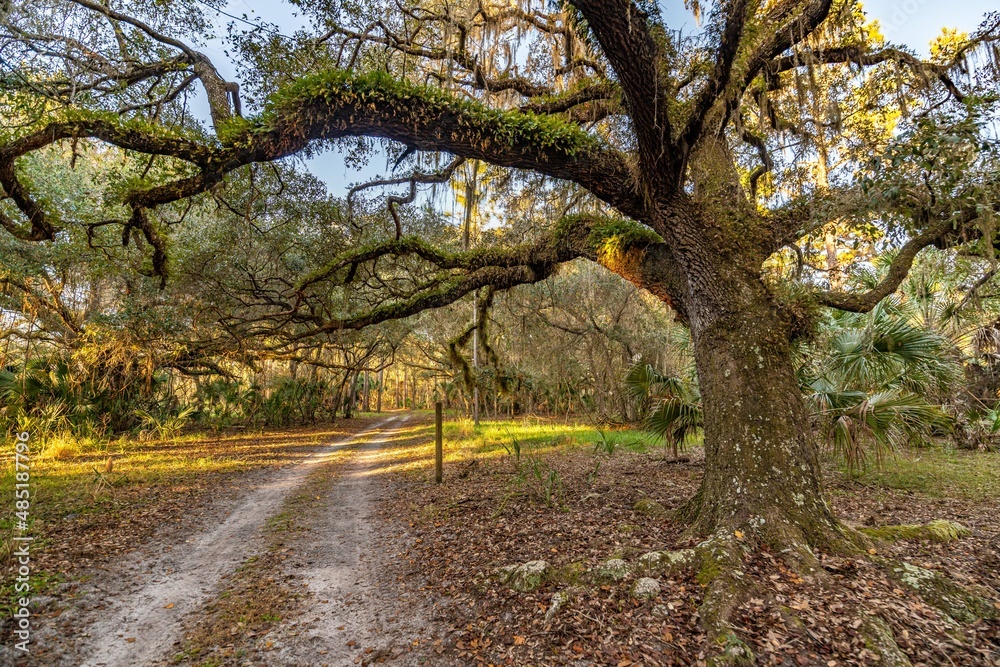 Naklejka premium creative