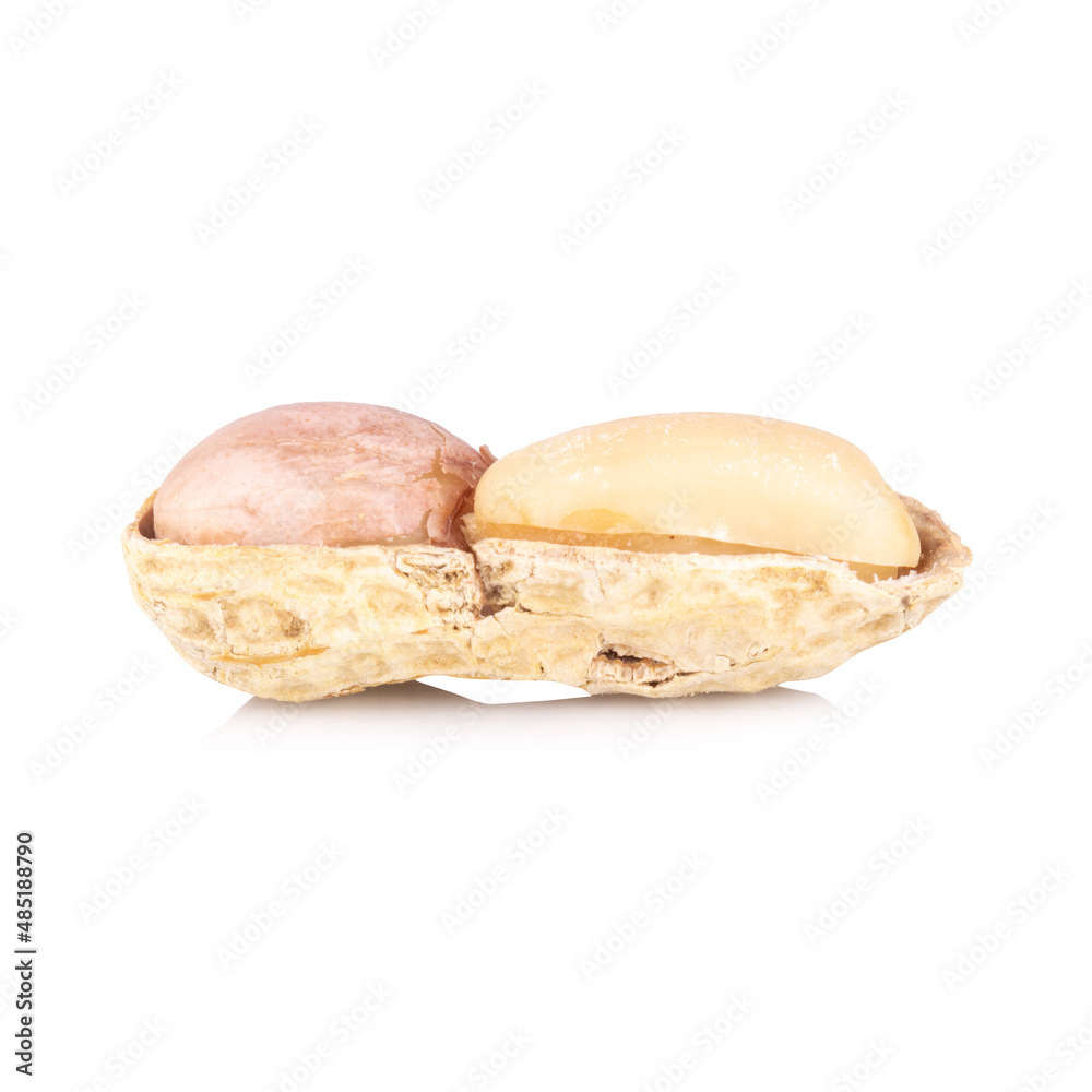 peanuts pile single isolated on white background peanuts pile single isolated on white background