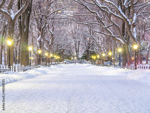 Photography Central Park the Mall