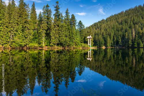 Fototapeta Naklejka Na Ścianę i Meble -  scenic landscape with calm lake in summer season. forest reflection in the water. beautiful travel background of synevyr, ukraine. tranquil nature scene. green outdoor view