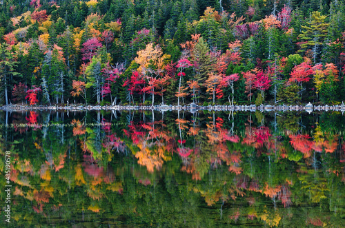 Obraz na plátně Fall Reflections, Acadia National Park, Maine