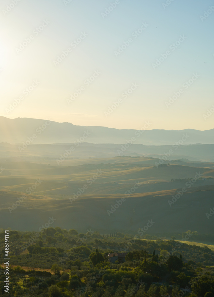 Tuscan Morning Glory