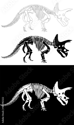 Set of Triceratops dinosaur graphic skeleton on white background  vector triceratops.