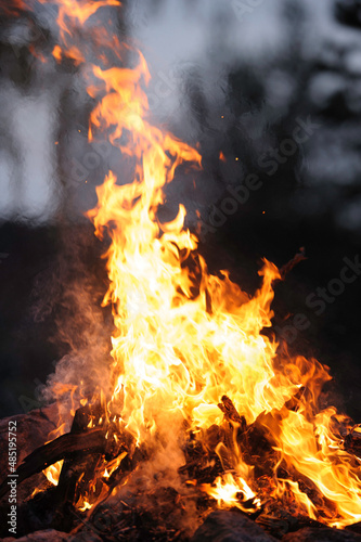 Burning campfire, flames and smoke