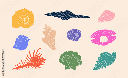 Cartoon clam, oyster and scallop shells.Underwater conches of mollusk and sea snail.Colorful marine undersea elements. Hand drawn sea shell objects, colorful shells flat vector illustration, isolated.