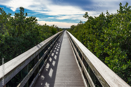 Long Wooden Walkway Through Florida Mangrove Swamp