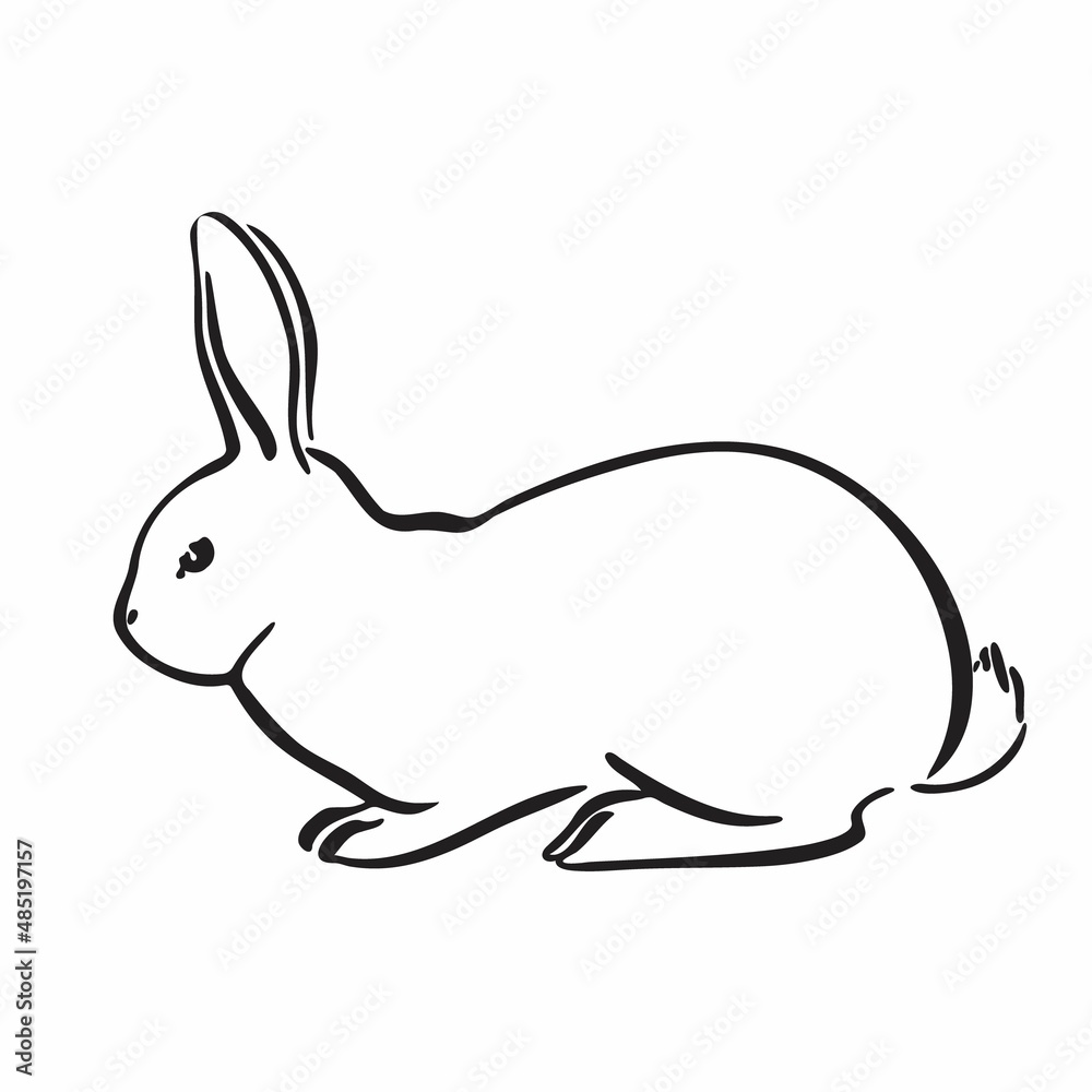Rabbit hand drawn vector image. Animal pet illustration. Black isolated hare on white background Rabbit hand drawn vector image. Animal pet illustration. Black isolated hare on white background
