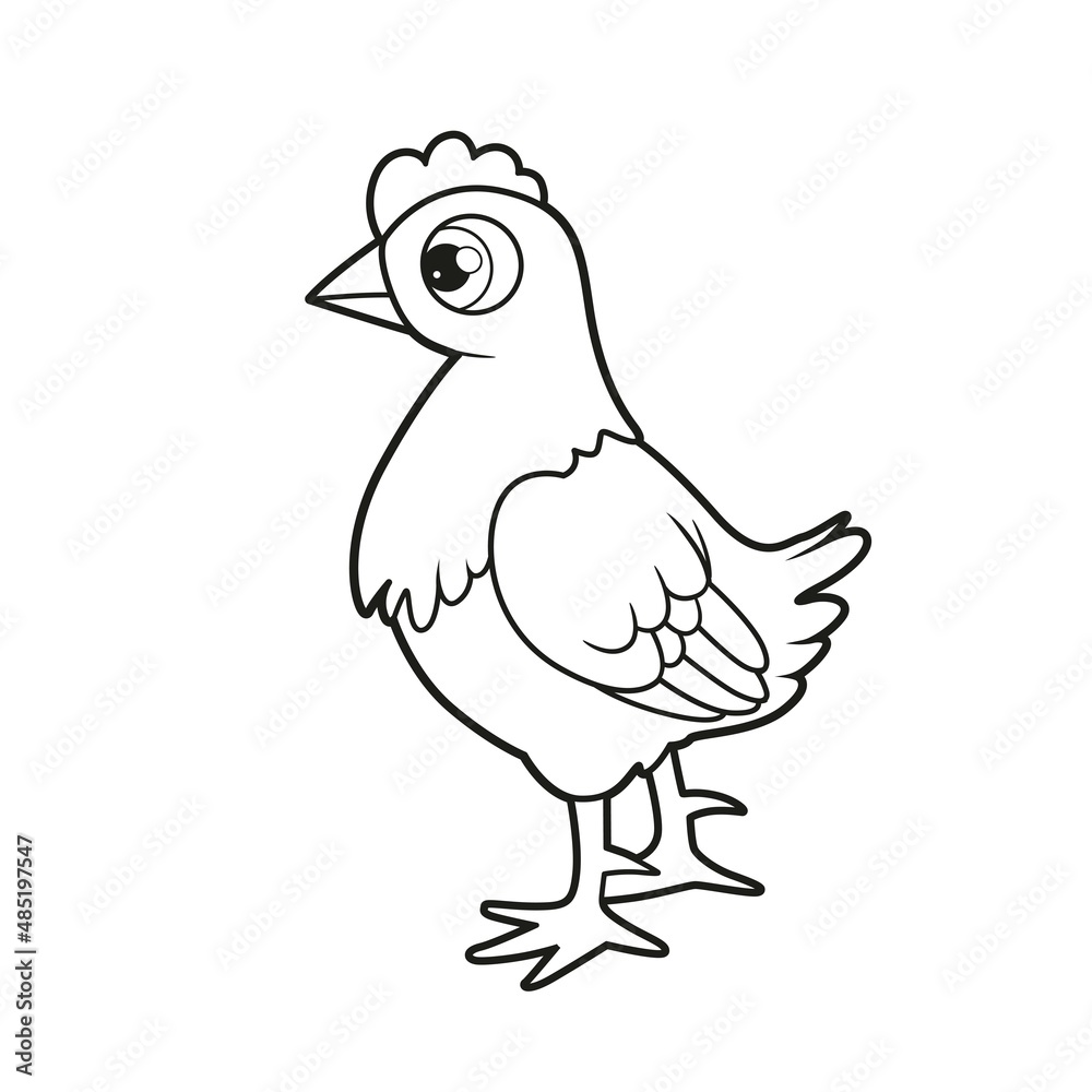 Cute cartoon young hen outlined for coloring page on white background