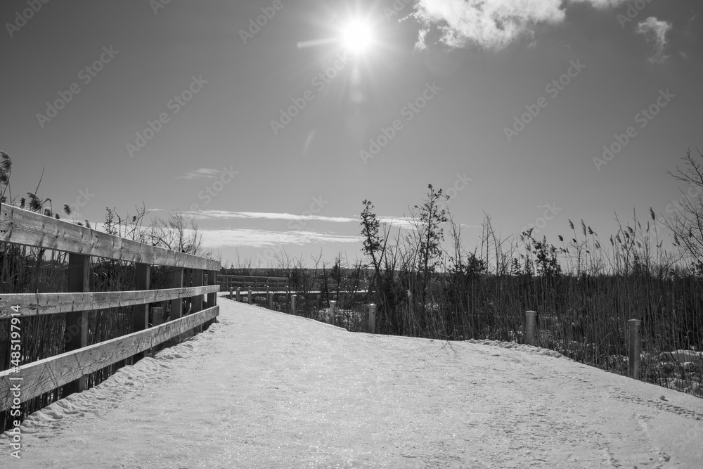 View over part of a swamp in winter and its boardwalk in Quebec, Canada