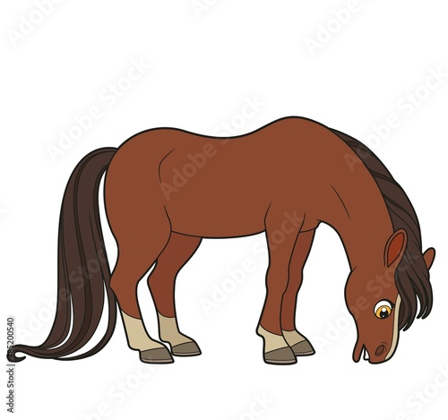 Cute cartoon big horse nibbling grass color variation isolated on white background