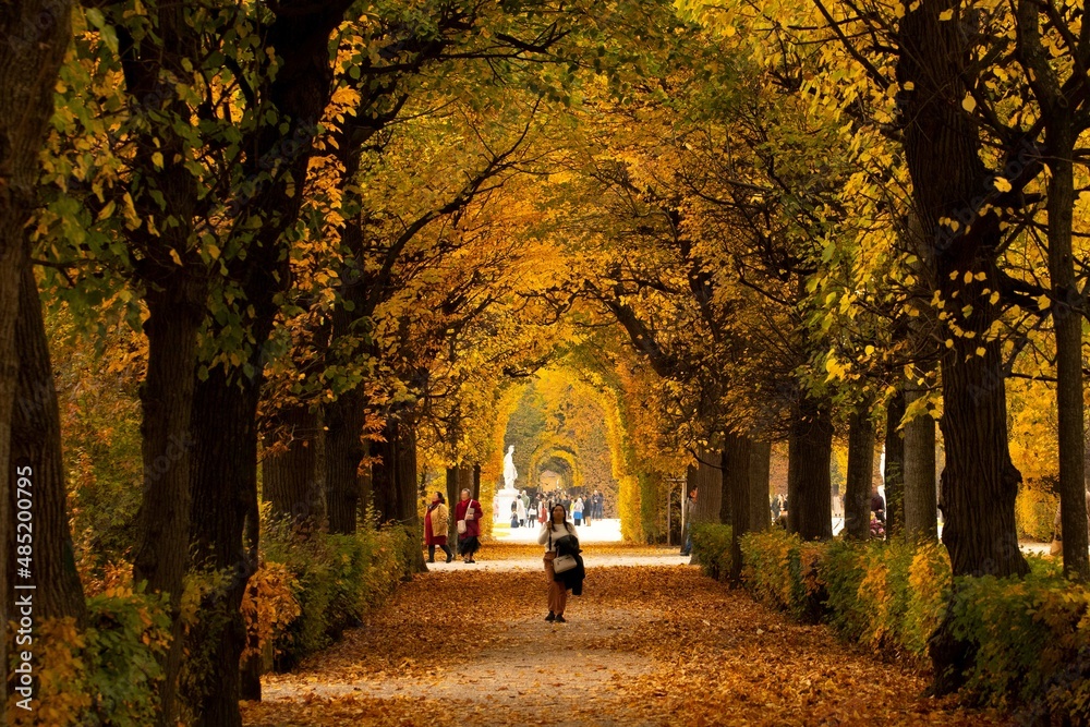 landschaft, gras, himmel, bauwerk, feld, haus, stadt, land, architektur, park, bauernhof, dorf, burg, natur, sommer, ackerbau, baum, anreisen, gegend, alt, kirche, anblick, silhouetten, frühling, baum landschaft, gras, himmel, bauwerk, feld, haus, stadt, land, architektur, park, bauernhof, dorf, burg, natur, sommer, ackerbau, baum, anreisen, gegend, alt, kirche, anblick, silhouetten, frühling, baum