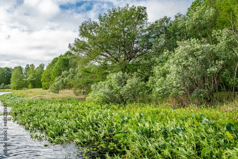 Obraz premium creative