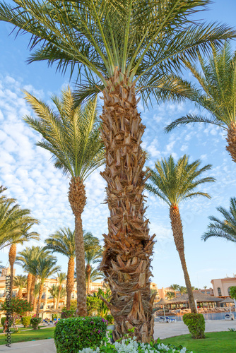  Hurghada, Egypt. .Swimming pool and accommodation at tropical resort. Buildings, swimming pools and a recreation area by the red sea.