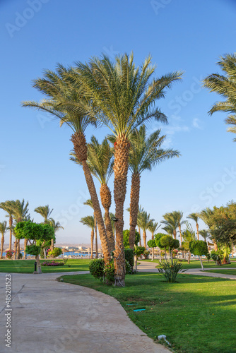  Hurghada  Egypt. .Swimming pool and accommodation at tropical resort. Buildings  swimming pools and a recreation area by the red sea.