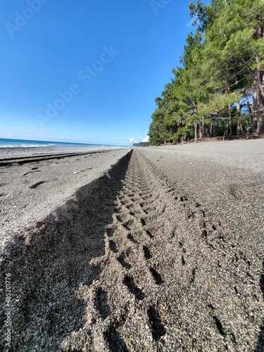 Obraz na plátně Secluded sea beach in Pitsunda