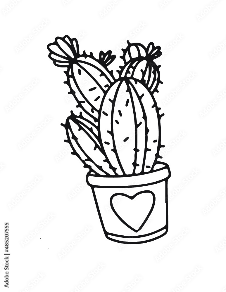 hand drawn illustration of cactus in a pot, heart shape hand drawn illustration of cactus in a pot, heart shape