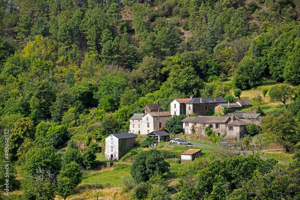 Village aux maisons blanches accroché au flanc d'une montagne boisée et agricole. Cévennes France.