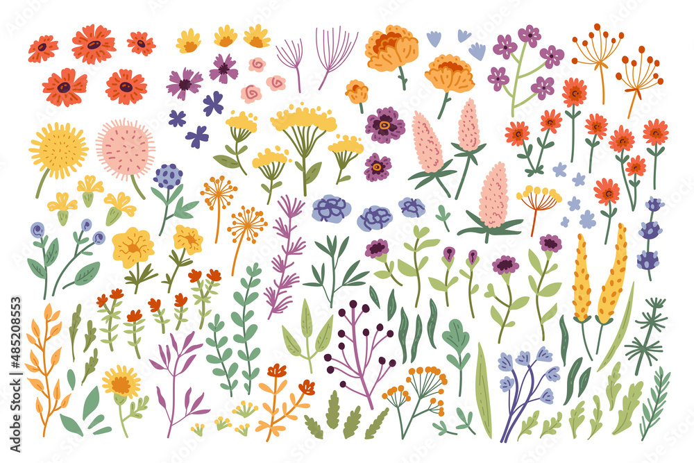 Big botanical set of doodle wild flowers, twigs, leaves, herbs and ...