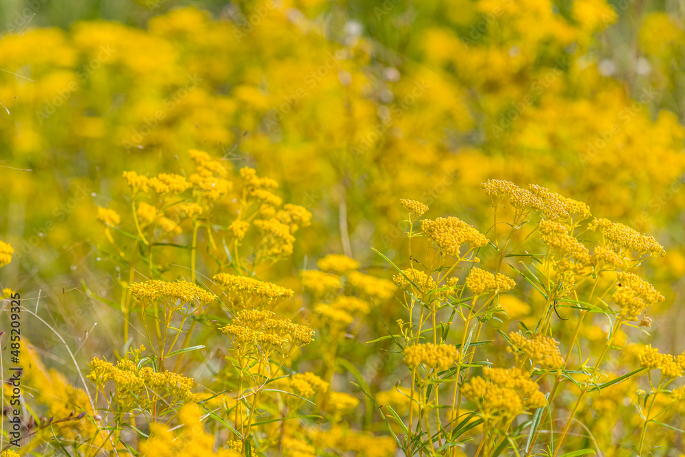 Obraz premium creative