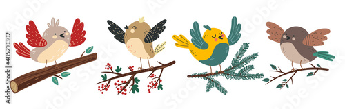 Birds characters sitting on branches isolated set. Vector flat graphic design illustration