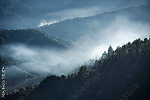 Vallée sauvage avec le brume matinale qui monte vers le sommet des montagnes boisées de la chaîne des Cévennes en France.
