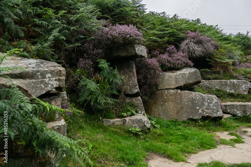 Tall rock formation overgrown with ferns and flowers foliage, old rocks by the footpath