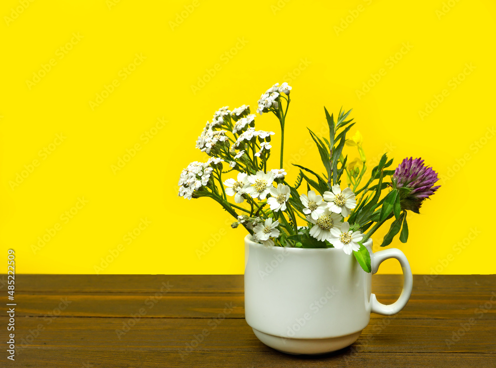 spring flowers in a white cup .bright yellow background