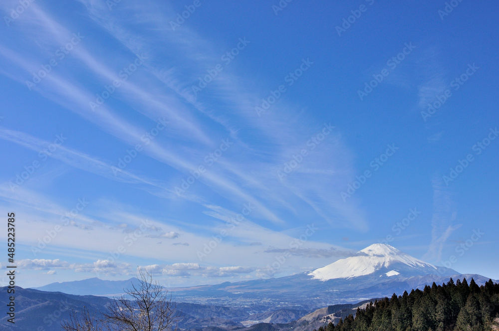 丹沢山地の高松山山頂から望む晴れた空に富士山
