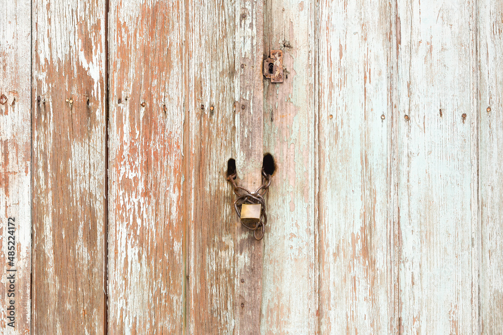 background with wood texture background with wood texture