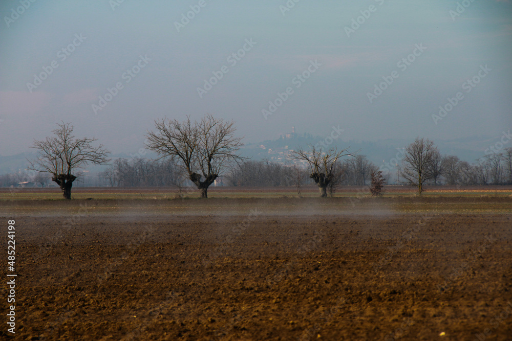 Nebbia che sale