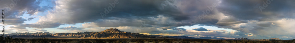 Panoramic image over desert area in the Yushua Tree national Park in Southern California at sunset