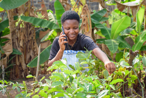 An African female farmer, business woman or entrepreneur, making a call while happily tending to her vegetable garden on a farm land