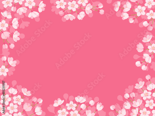 濃いピンクの桜の背景