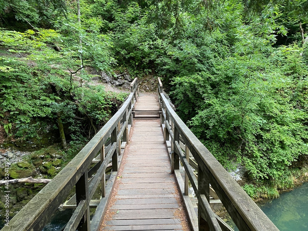 Wooden hiking trails and bridges along the protected landscape of the Kamacnik canyon - Vrbovsko, Croatia (Drvene pješačke staze i mostići duž zaštićenog krajolika kanjona Kamačnik - Gorski kotar) Wooden hiking trails and bridges along the protected landscape of the Kamacnik canyon - Vrbovsko, Croatia (Drvene pješačke staze i mostići duž zaštićenog krajolika kanjona Kamačnik - Gorski kotar)