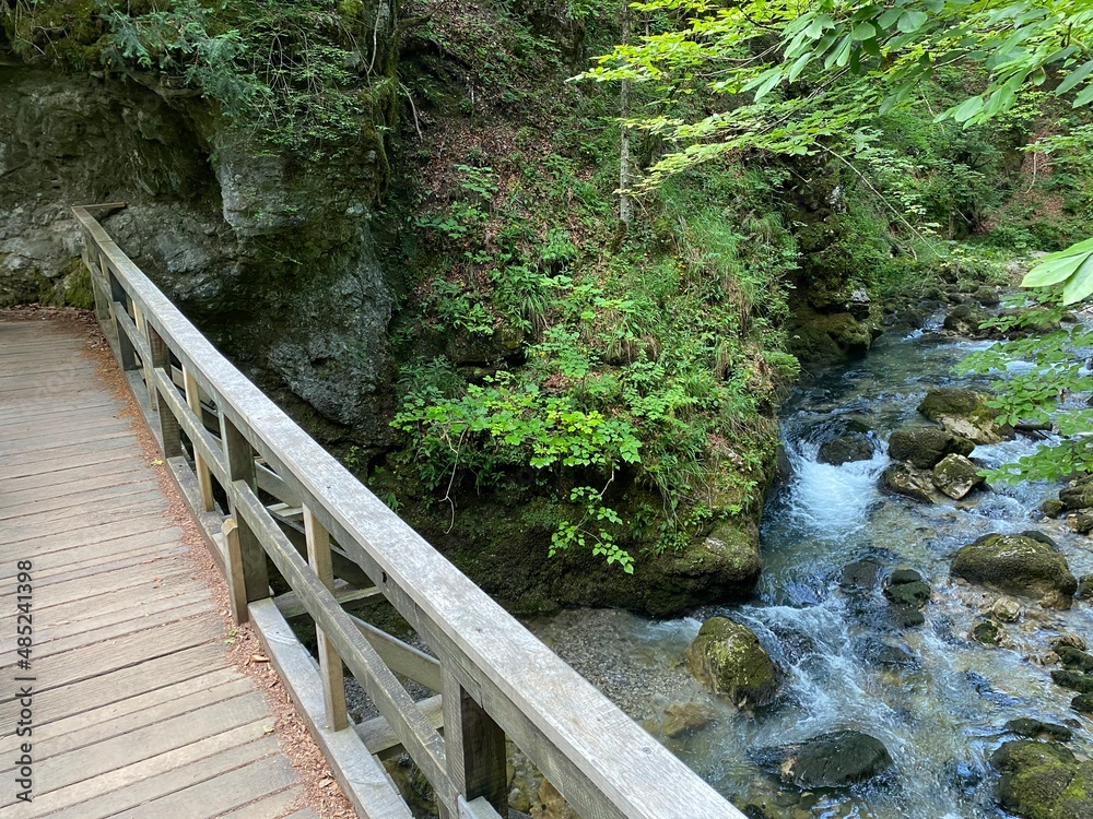 Wooden hiking trails and bridges along the protected landscape of the Kamacnik canyon - Vrbovsko, Croatia (Drvene pješačke staze i mostići duž zaštićenog krajolika kanjona Kamačnik - Gorski kotar) Wooden hiking trails and bridges along the protected landscape of the Kamacnik canyon - Vrbovsko, Croatia (Drvene pješačke staze i mostići duž zaštićenog krajolika kanjona Kamačnik - Gorski kotar)