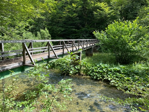 Wooden hiking trails and bridges along the protected landscape of the Kamacnik canyon - Vrbovsko  Croatia  Drvene pje  a  ke staze i mosti  i du   za  ti  enog krajolika kanjona Kama  nik - Gorski kotar 