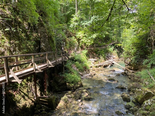 Wooden hiking trails and bridges along the protected landscape of the Kamacnik canyon - Vrbovsko  Croatia  Drvene pje  a  ke staze i mosti  i du   za  ti  enog krajolika kanjona Kama  nik - Gorski kotar 