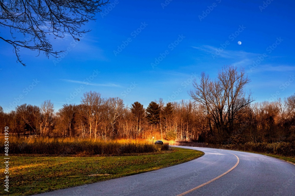 Fototapeta premium road in autumn Metro Park 