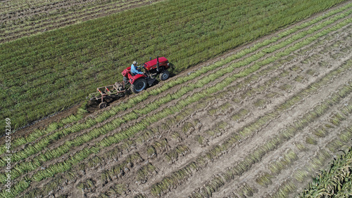 Farmers drive agricultural machinery to harvest peanuts in the farmland and take aerial photos  North China